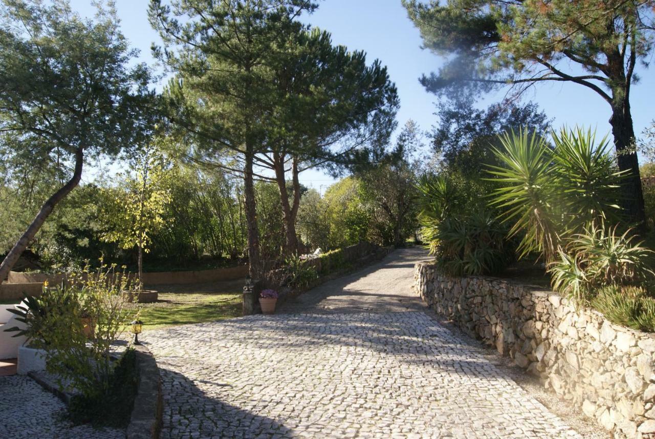 Willa Casa Do Vale Sao Pedro de Tomar Zewnętrze zdjęcie