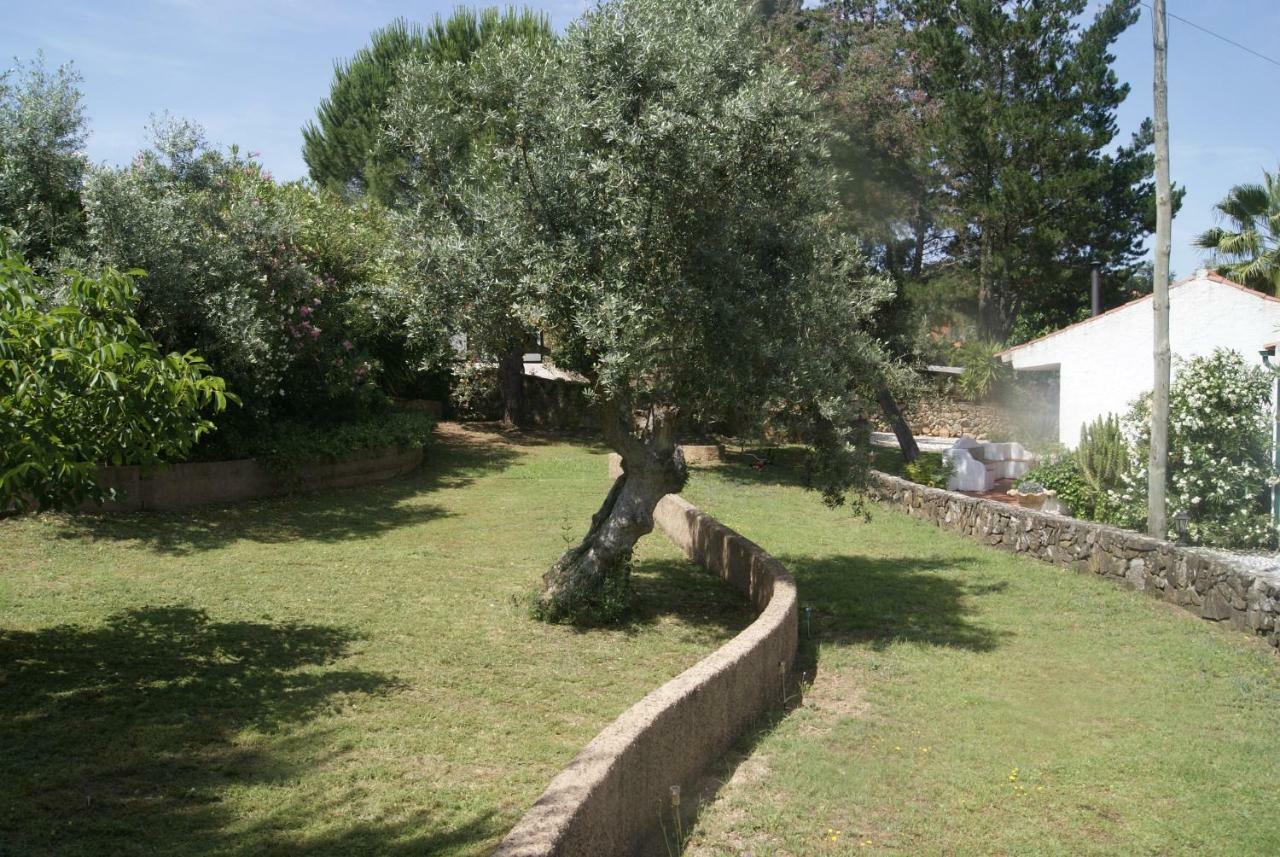Willa Casa Do Vale Sao Pedro de Tomar Zewnętrze zdjęcie